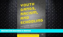 READ  Youth Gangs, Racism, and Schooling: Vietnamese American Youth in a Postcolonial Context