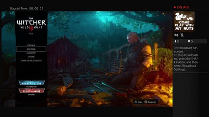 Witcher 3 Dlc Blood and Wine (8)