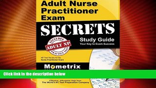 Big Deals  Adult Nurse Practitioner Exam Secrets Study Guide: NP Test Review for the Nurse