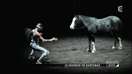 Zingaro : théâtre équestre