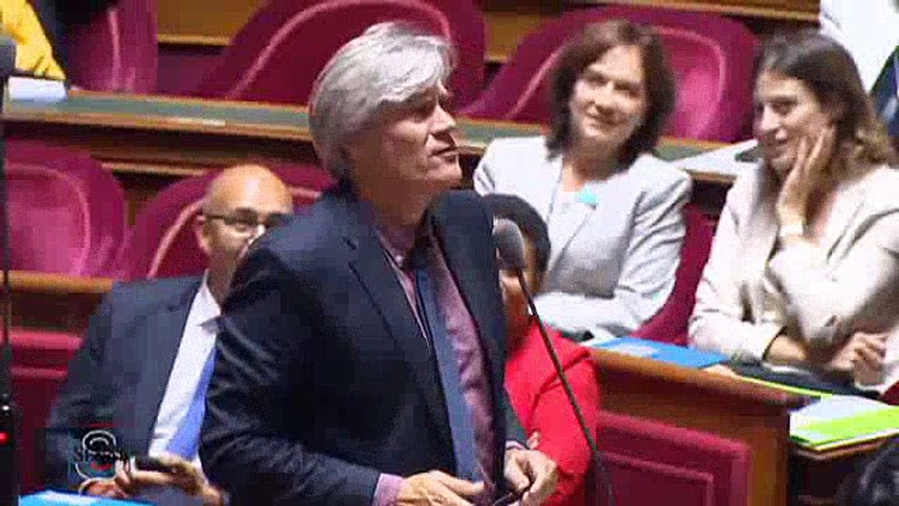 Prolifération du loup : " Le loup a fait l'objet de trop de protections, il est aujourd'hui néfaste pour l'économie ! "