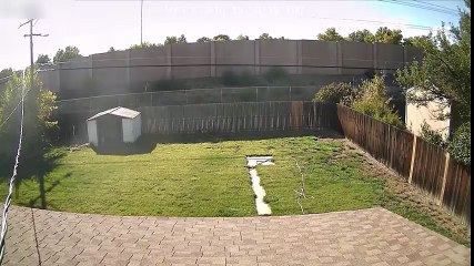 Crackhead steals chainsaw from my shed