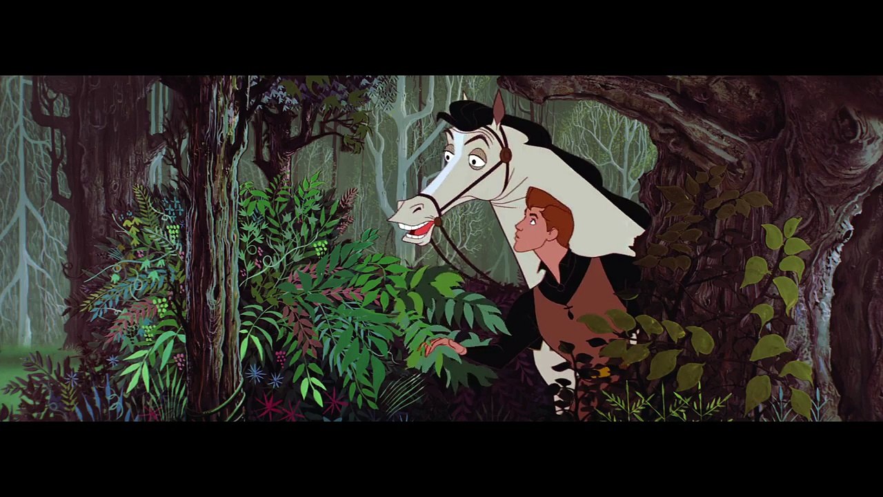 La Belle Au Bois Dormant Chanson - J'en ai rêvé Disney BE