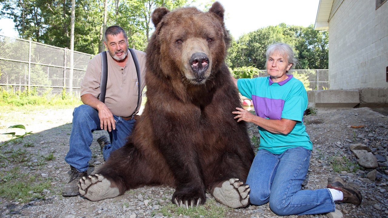 Our Big Bear Family: BEAST BUDDIES
