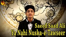 Saeed Saad Ali - Ya Nahi Nuska-e-Tawseer