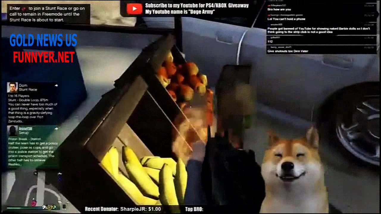 Dog narration extremely attractive game ( Part 3 )