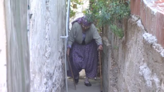 Asırlık Çınar Ayşe Nine