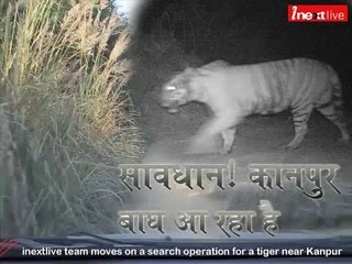 inextlive team moves on a search operation for a tiger near Kanpur