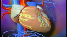 Santé/Maladies du cœur: Maladies cardio- vasculaires, facteurs de risques  et mesures préventives n
