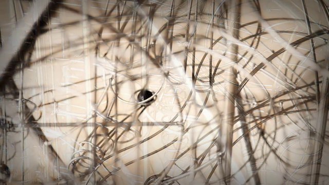 Circuit de billes géant dans une sphère de métal !