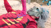 Spiderman Vs Spidergirl - Superhero Battle! w_ Hulk and Joker Superhero