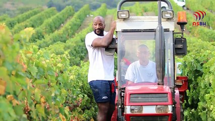 Activité vendange à Laurens - Mas Olivier Faugères