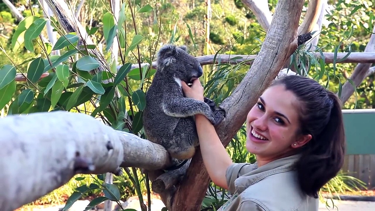 Koala kisses