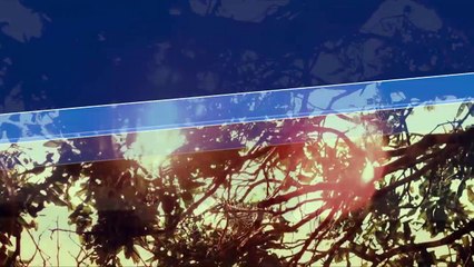 Em Rẽ Trái Anh Rẽ Phải - Ưng Hoàng Phúc