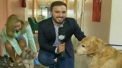 Cachorros "voluntários" alegram pacientes de hospital