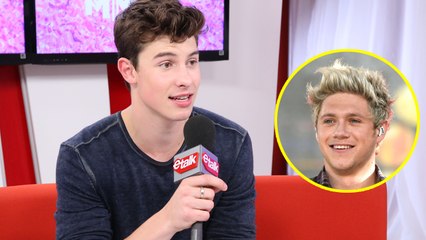 Shawn Mendes Confirms Niall Horan Collaboration Song
