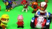 PAW PATROL Nickelodeon Paw Patrol & Peppa Pig in the Hospital Toys Video Parody