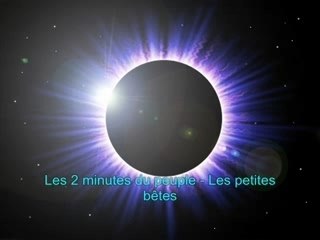 Les 2 minutes du peuple - Les petites bêtes