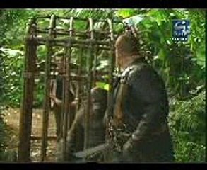 man Gorilla kidnapping  jungle  funny Bast video