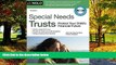 Big Deals  Special Needs Trusts: Protect Your Child s Financial Future (Special Needs Trust: