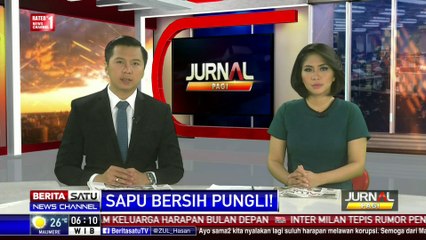 Susunan Organisasi Satgas Saber Pungli