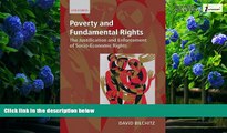 Big Deals  Poverty and Fundamental Rights: The Justification and Enforcement of Socio-economic