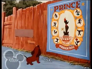 Pluto Wonder Dog PL Dessins Animés, Cartoons