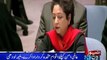 Pakistan calls for closer political interaction to address security challenges :Maleeha Lodhi