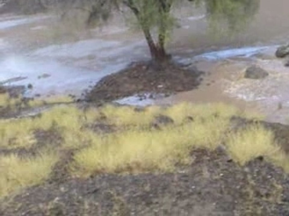 حدور مربض