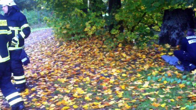 Une biche coincée dans un portail secourue par des pompiers allemands