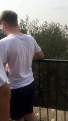 Il se fait piquer son mars par un singe... Braquage version Zoo