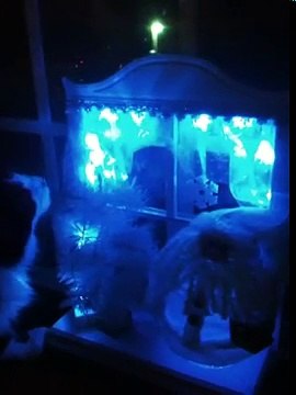 My cat Gilbert likes to chomp on Christmas trees.