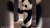 Juventus player Patrice Evra dresses up as a panda and dances
