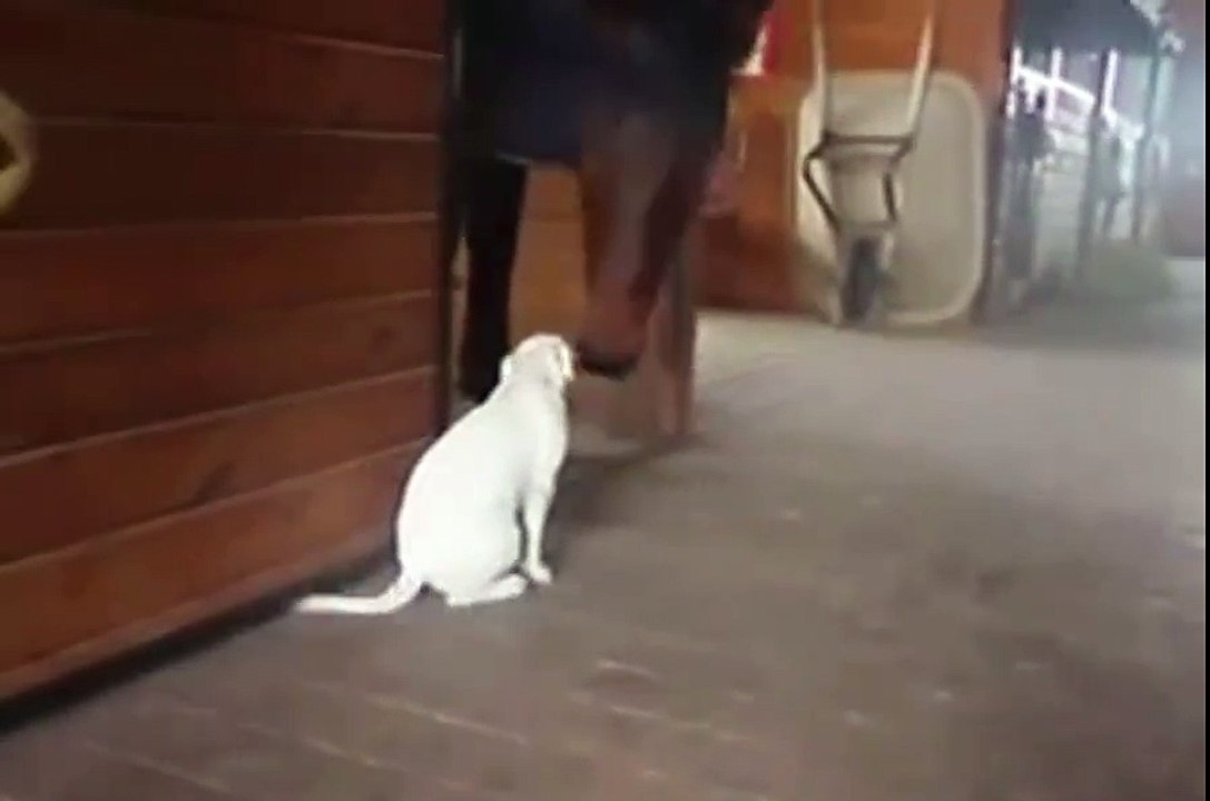 Un Amore che ha dell'Incredibile