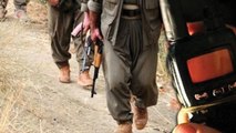 TSK, PKK'nın Kabusu Oldu! Örgütün Paniği Telsiz Konuşmalarında: Burası Yangın Yeri