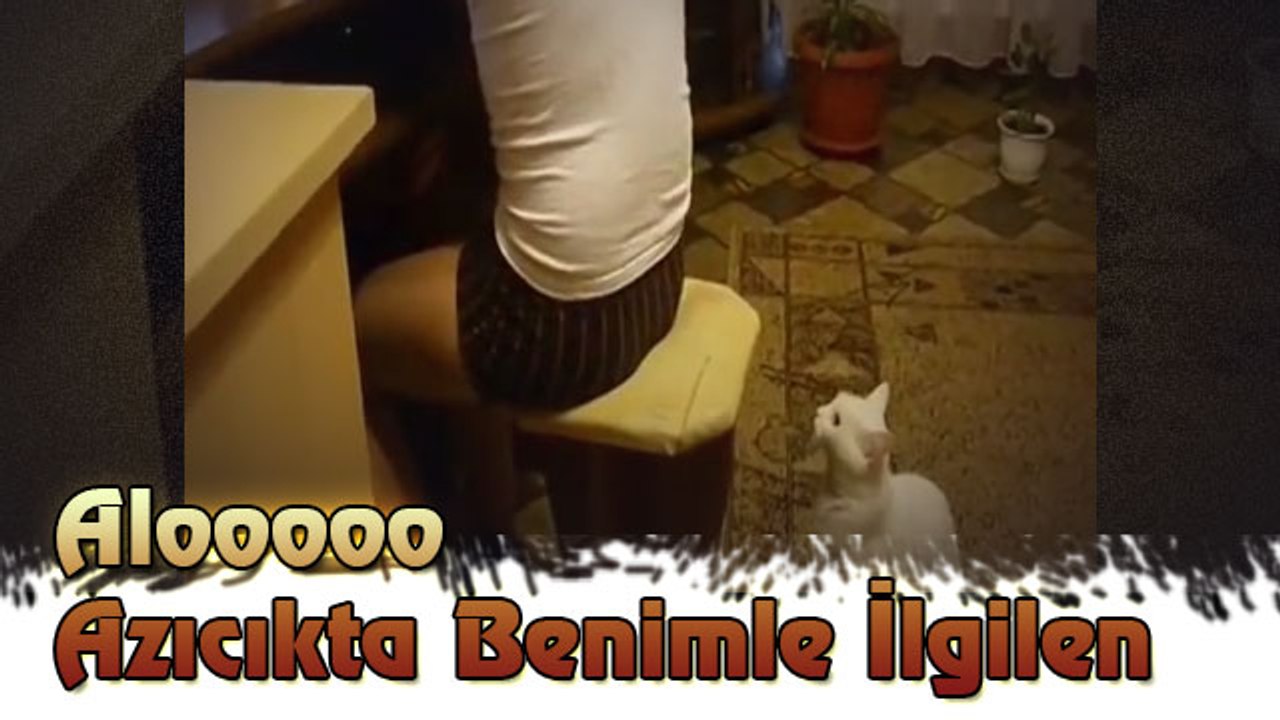 Alooooo Azıcıkta Benimle İlgilen