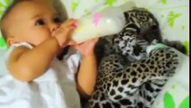 Un bebé estaba tomando su leche, pero entonces mira a su pequeño amigo y... ¡No entiendo como lograron grabar esto!