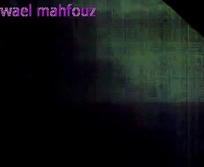 اقوى برق ورعد وشتاء تتعرض له مصر فى هذا القرن