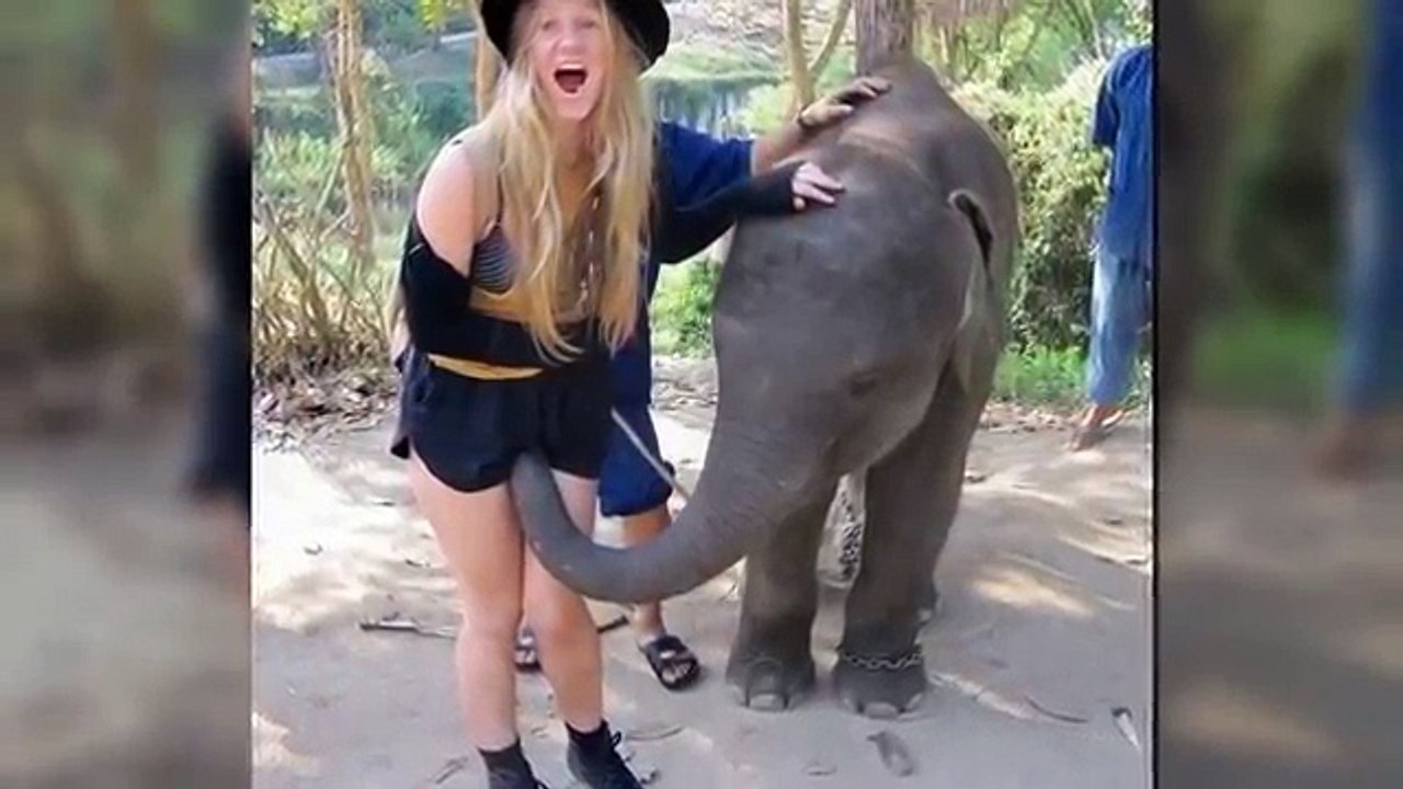 The BEST Girls FIGHT Compilation on VINE -