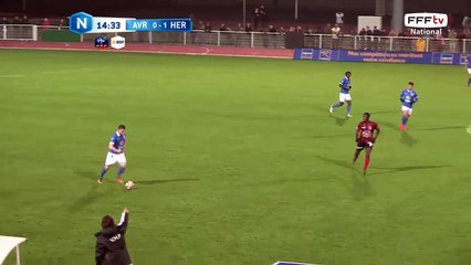 Frappe lointaine de Lavenant