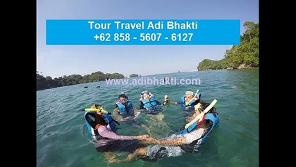 +62 858 - 5607 - 6127 Tour Travel,Snorkeling,Wisata Bahari Adi Bhakti