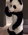Patrice Evra danse déguisé en panda pour dire non au racisme