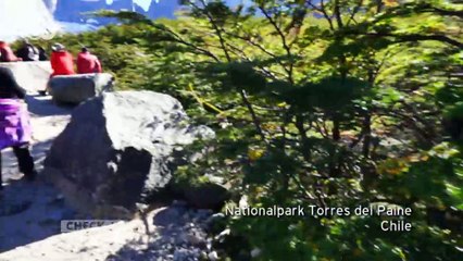 Abenteuer in Patagonien: Mehrtägige Wanderung durch den Torres del Paine Nationalpark 🥾