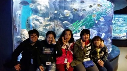 고3-3반 사진 동영상_포트리스 2기 오프닝