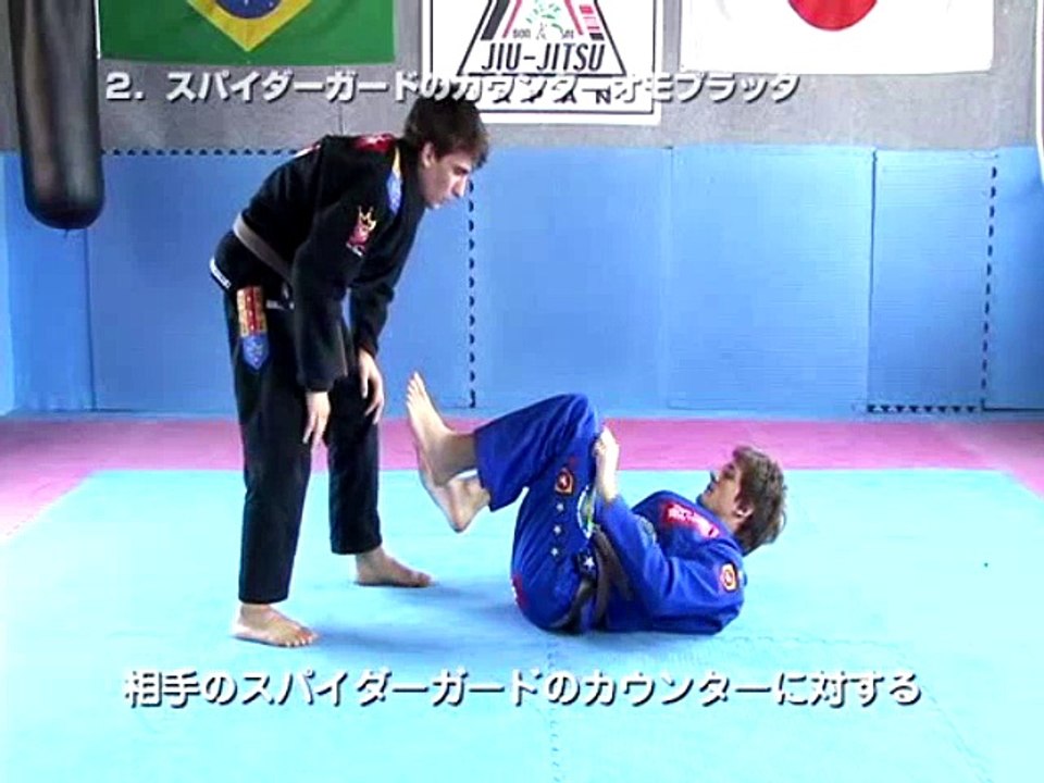 Brazilian jiu-jitsu #2. Lesson №2. Spider guard counter to omoplata