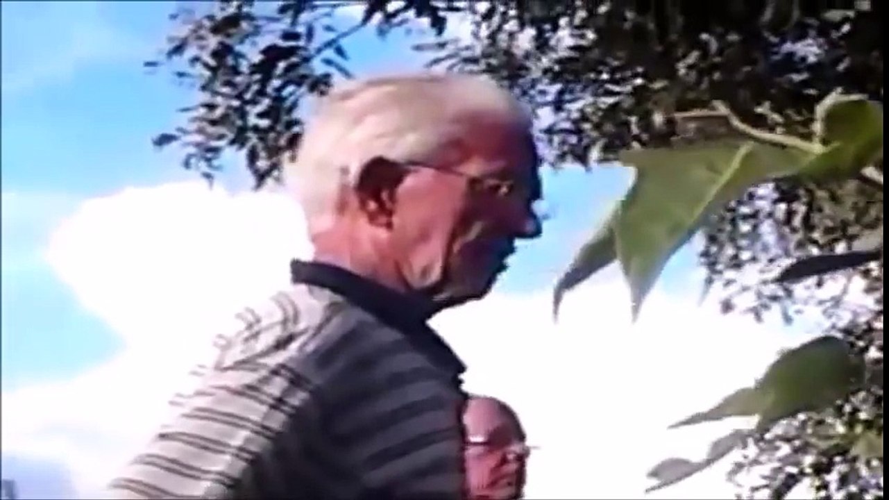 Giant anaconda attacks a cow in Brazil !