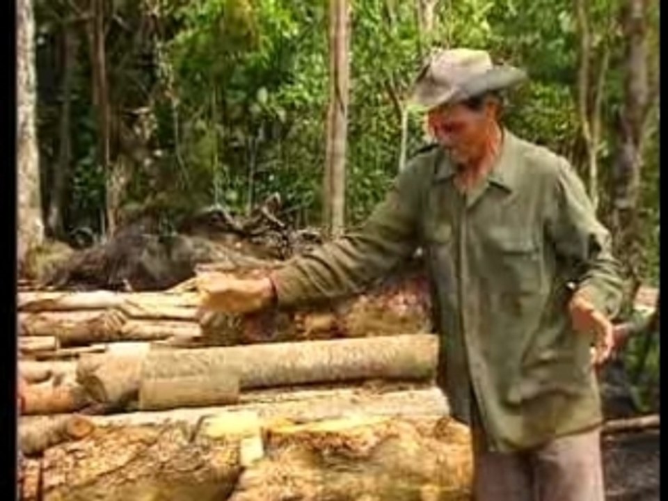 Fabrication du Charbon de Bois